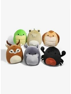 Buy 🛒 Squishmallows Exotic Animals Assorted Blind Plush 🎁