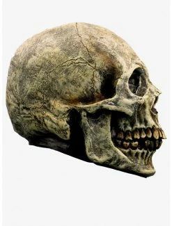 Buy 🎉 Skull Decor 😉