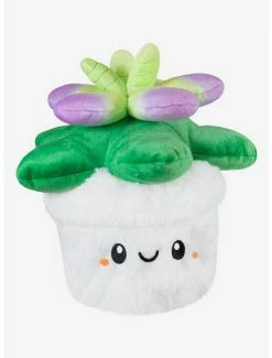 Discount 🛒 Squishable Succulent Plush 😀